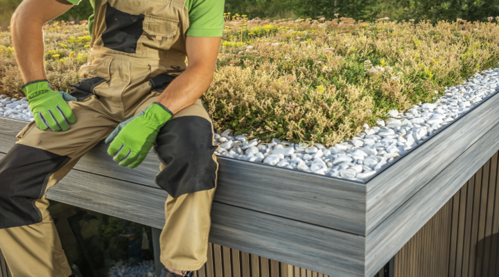 A handyman in green gloves and work attire sitting on an eco-friendly rooftop garden with lush vegetation and white pebbles.